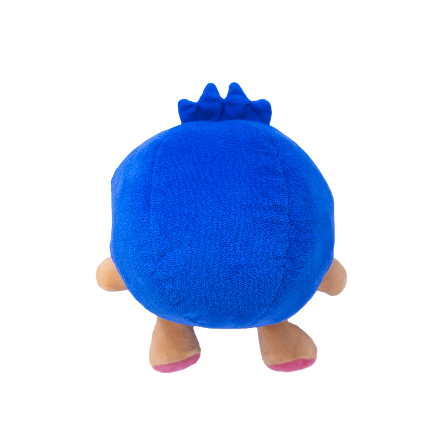 Blueberry Pig
