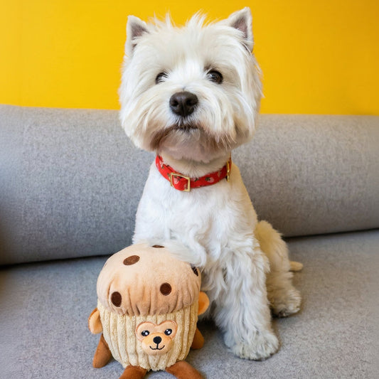 Muffin Monkey x RAVE Dog Biscuits