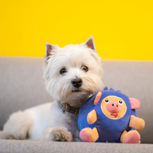 A small white west highland terrier with a plush blue dog toy resembling a pig in a blueberry costume lying on a couch