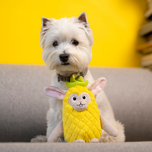 A small white west highland terrier with a plush yellow dog toy resembling a bunny in a pineapple costume sitting on a couch