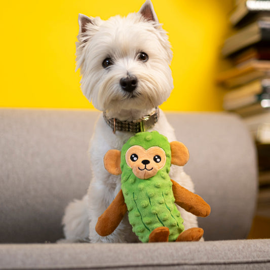 A small white west highland terrier with a plush green dog toy resembling a monkey in a pickle costume sitting on a couch