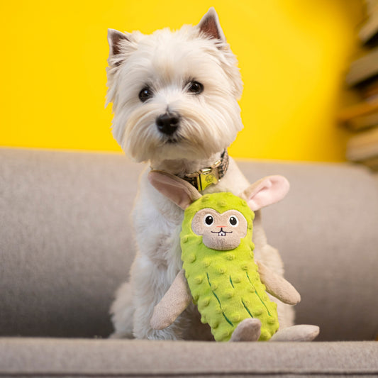 A small white west highland terrier with a plush green dog toy resembling a bunny in a pickle costume sitting on a couch