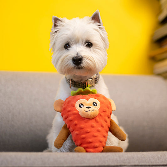 A small white west highland terrier with a plush red dog toy resembling a monkey in a strawberry costume sitting on a couch