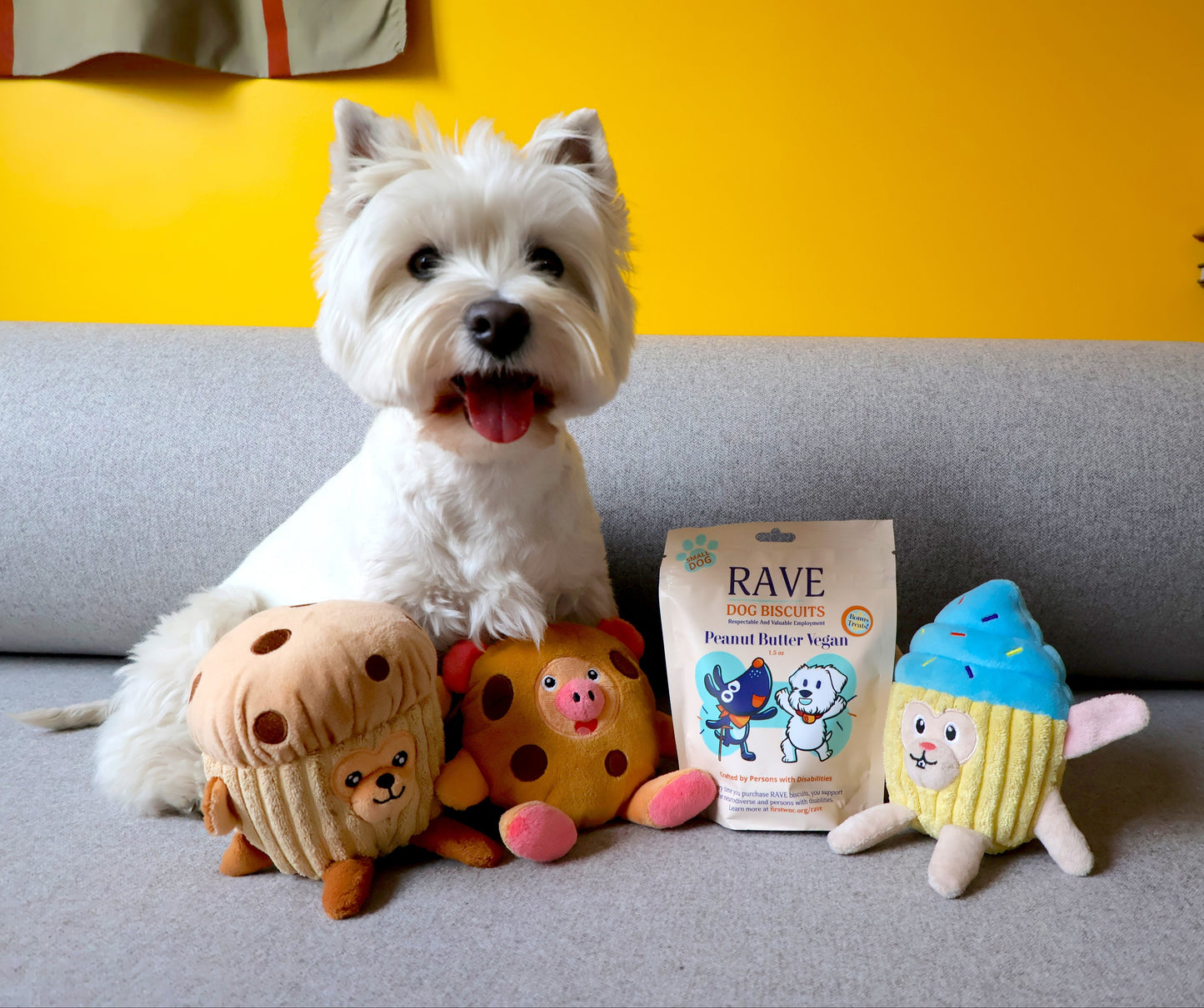 White dog sitting on a couch with 3 plush dog toys and a bag of RAVE dog treats