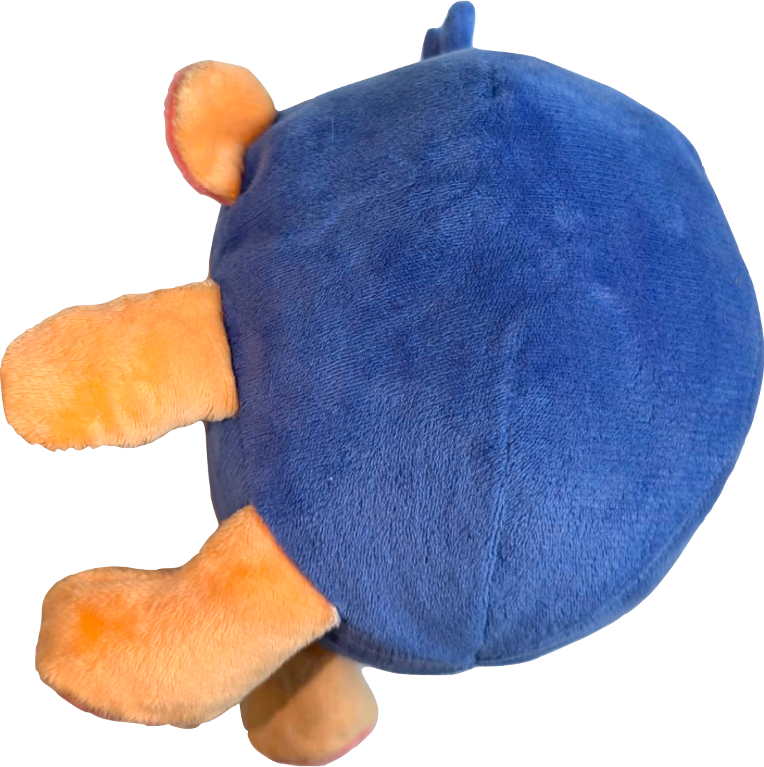 Blueberry Pig