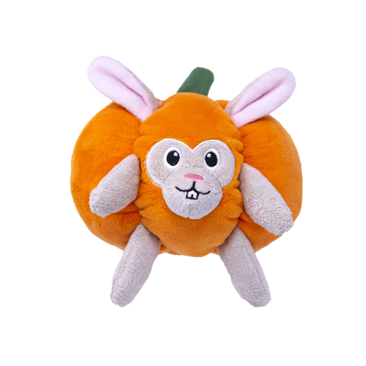 Pumpkin Bunny