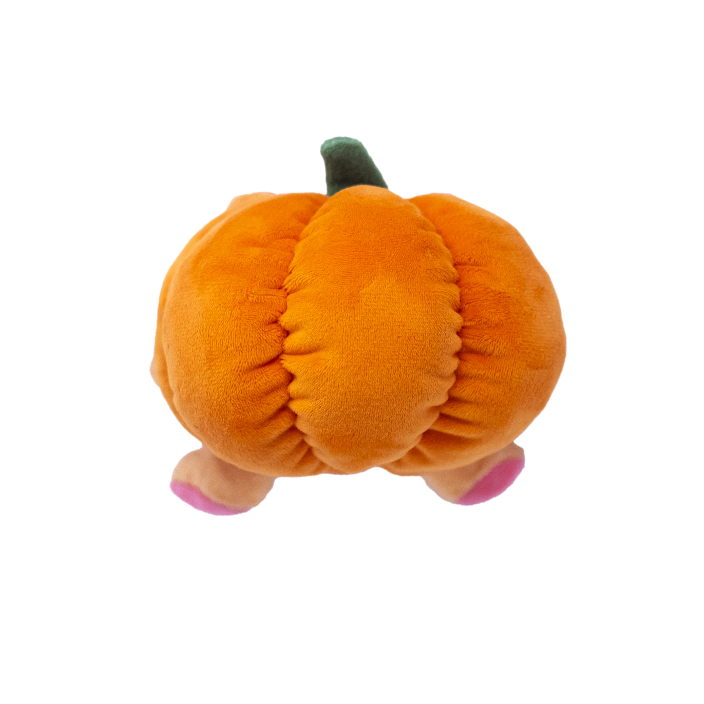 Pumpkin Pig