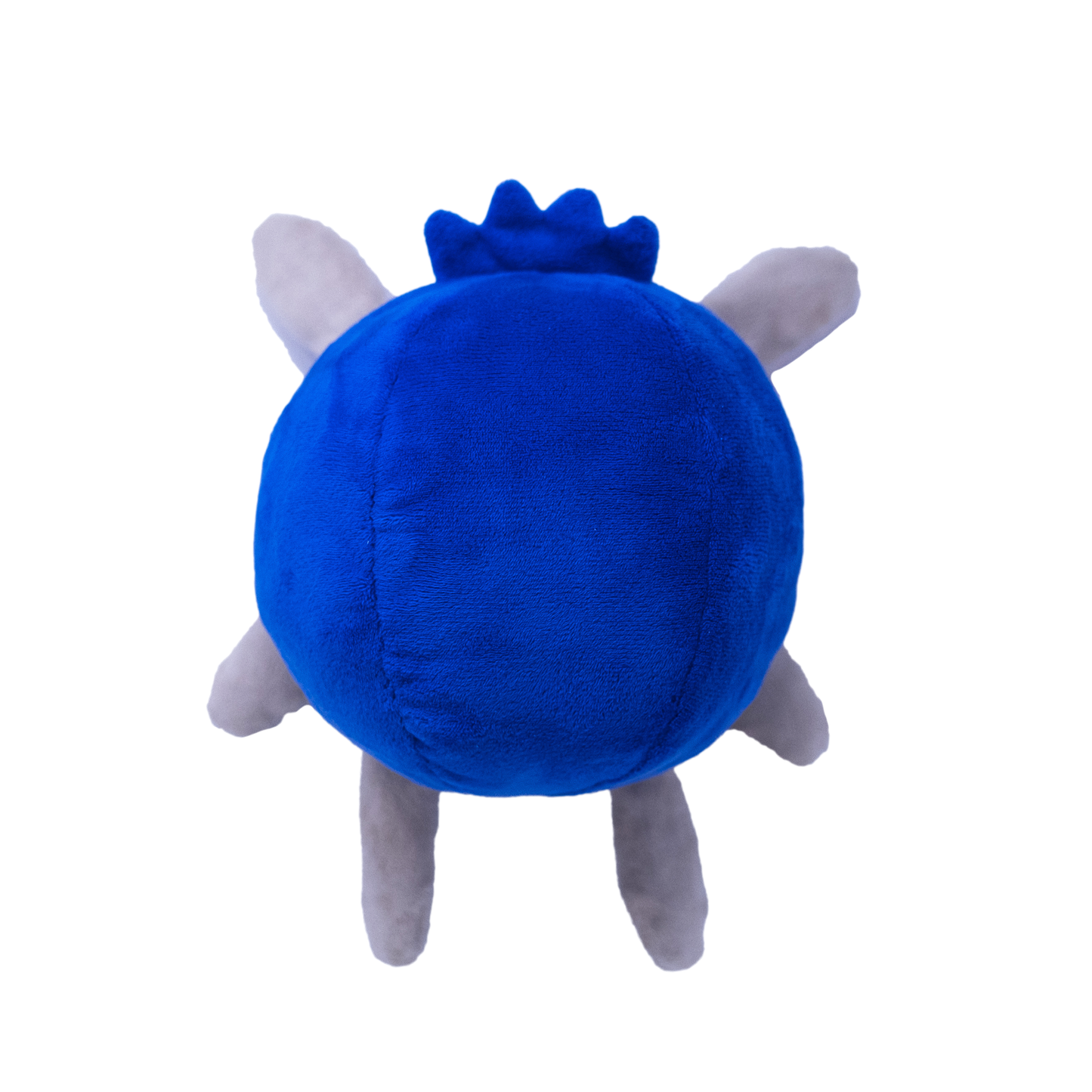 Blueberry Bunny