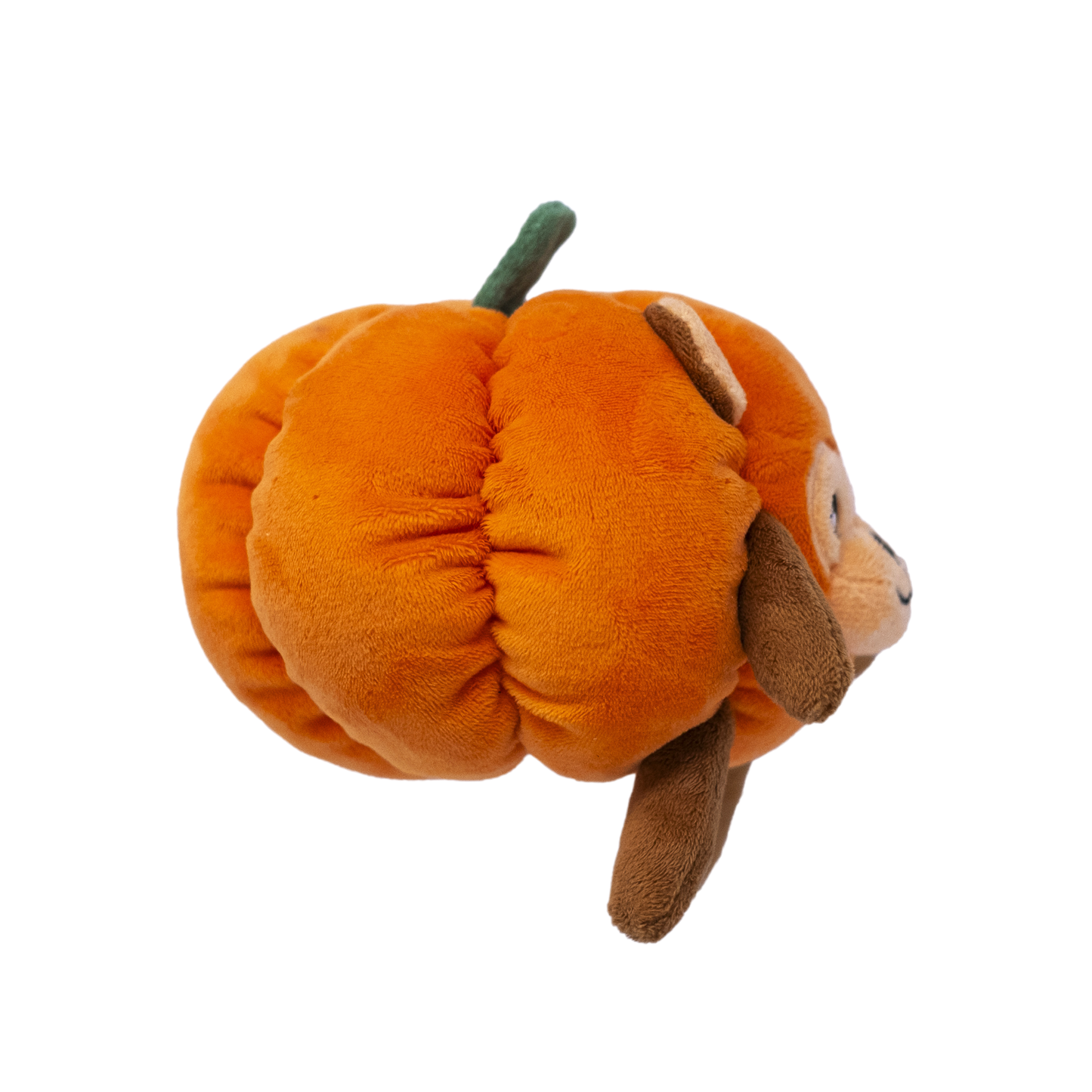 Pumpkin Monkey