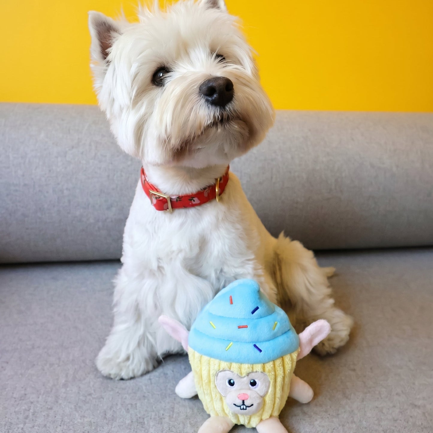 Cupcake Bunny X RAVE Dog Biscuits