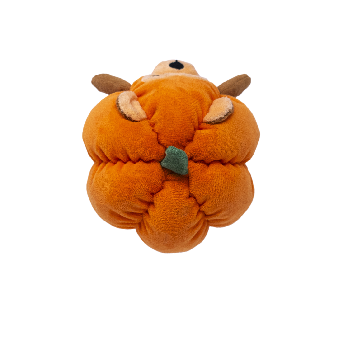 Pumpkin Monkey