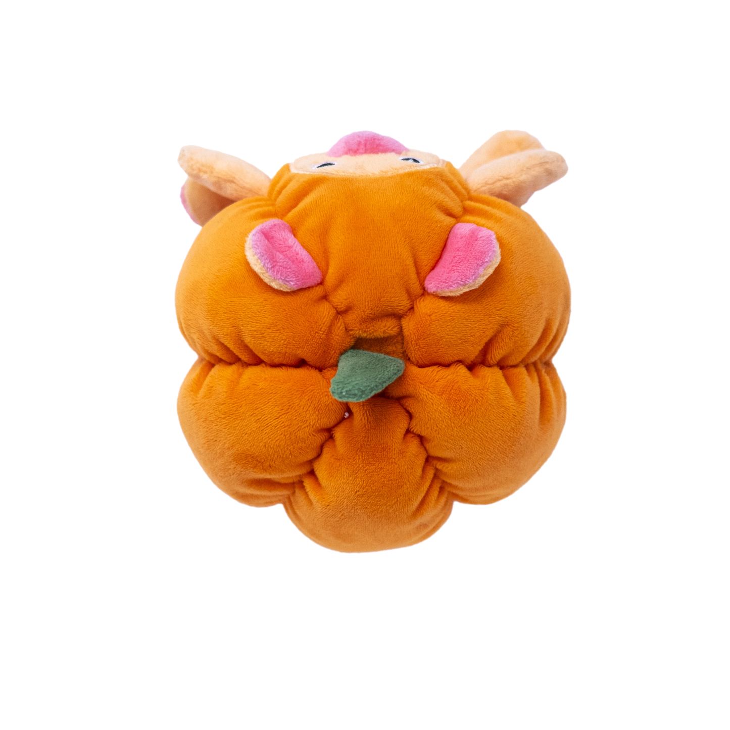 Pumpkin Pig