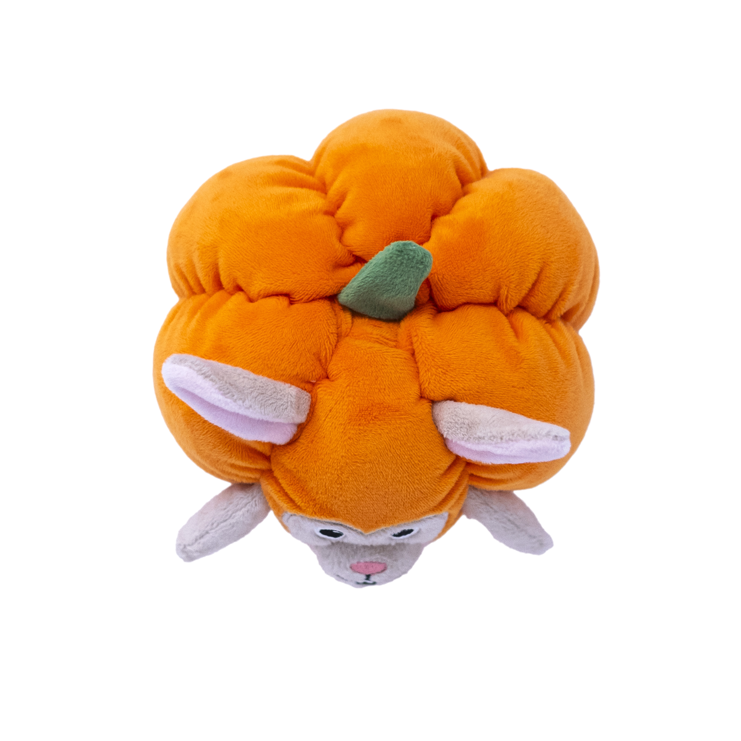 Pumpkin Bunny