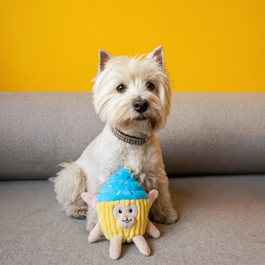 A small white west highland terrier with a plush dog toy resembling a bunny in a cupcake costume sitting on a couch
