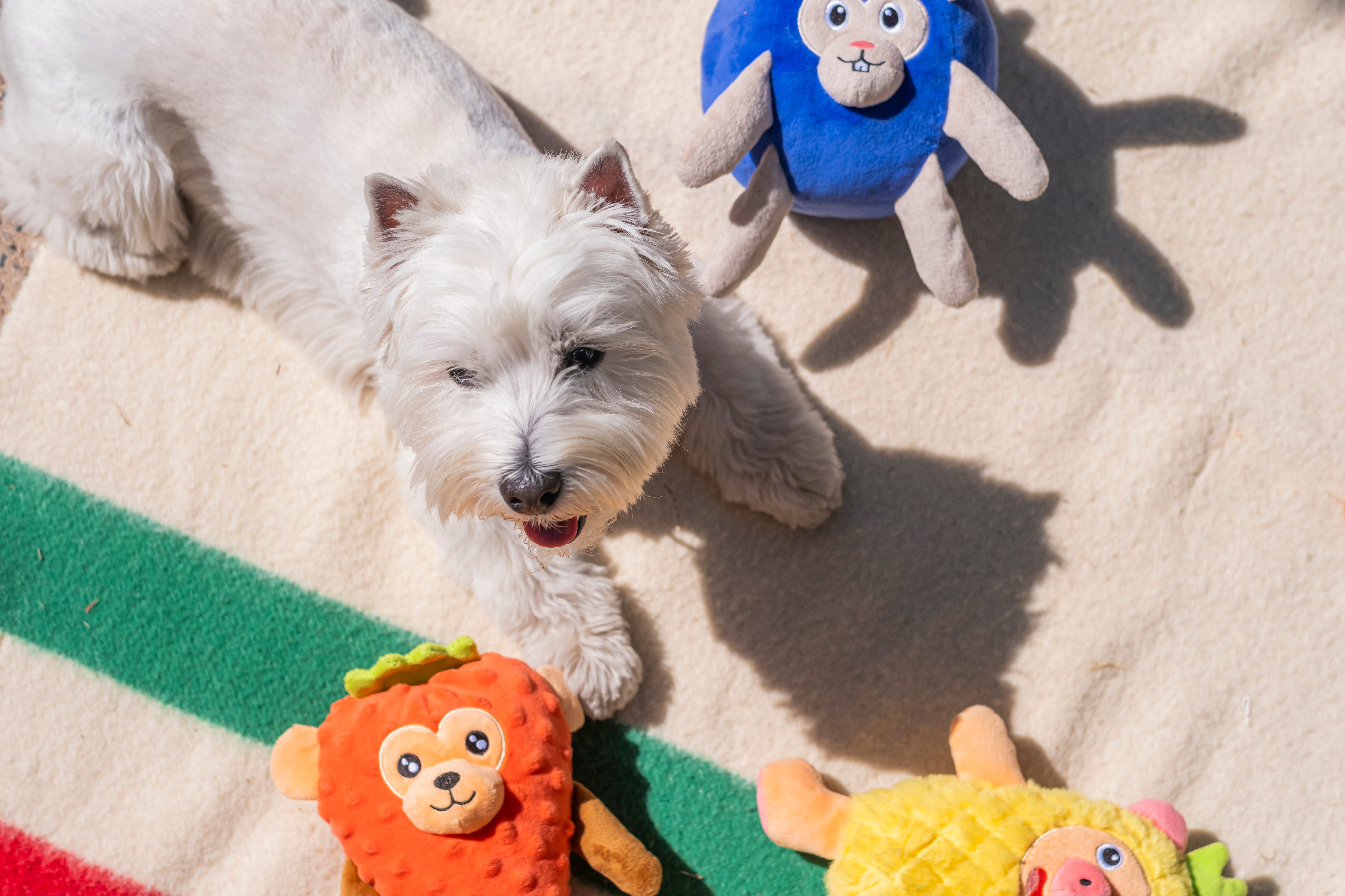 Fika's Freaky Friends