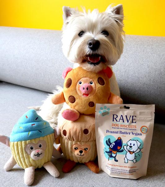 Pastry Pals X RAVE Dog Biscuits