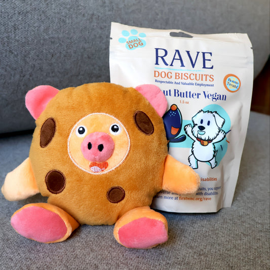 Cookie Pig X RAVE Dog Biscuits