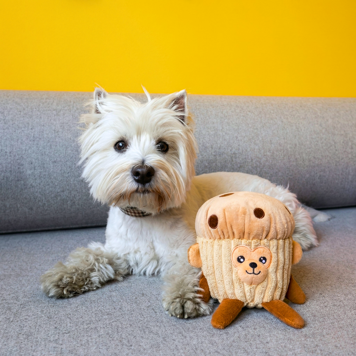 A small white west highland terrier with a plush brown dog toy resembling a monkey in a chocolate chip muffin costume sitting on a couch