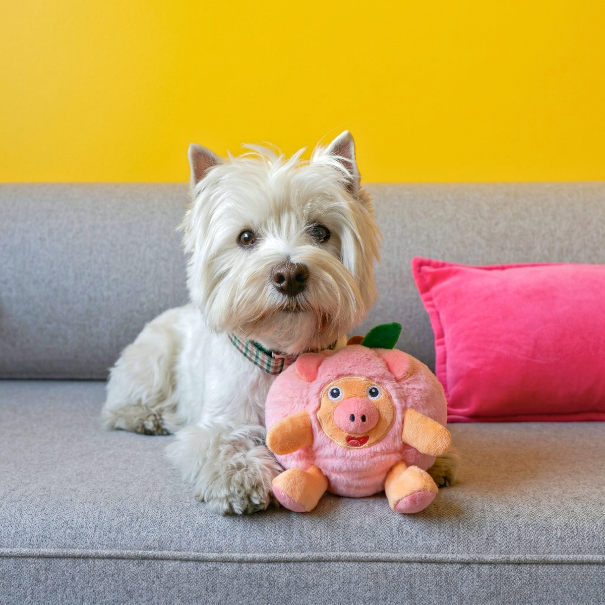 Peach Pig